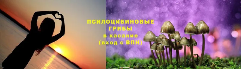 omg онион  Сарапул  Псилоцибиновые грибы MAGIC MUSHROOMS  купить наркоту 